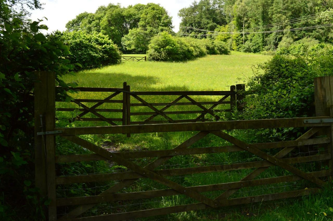 Ironbridge Lodge Zewnętrze zdjęcie